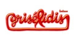 logo-grisedidis